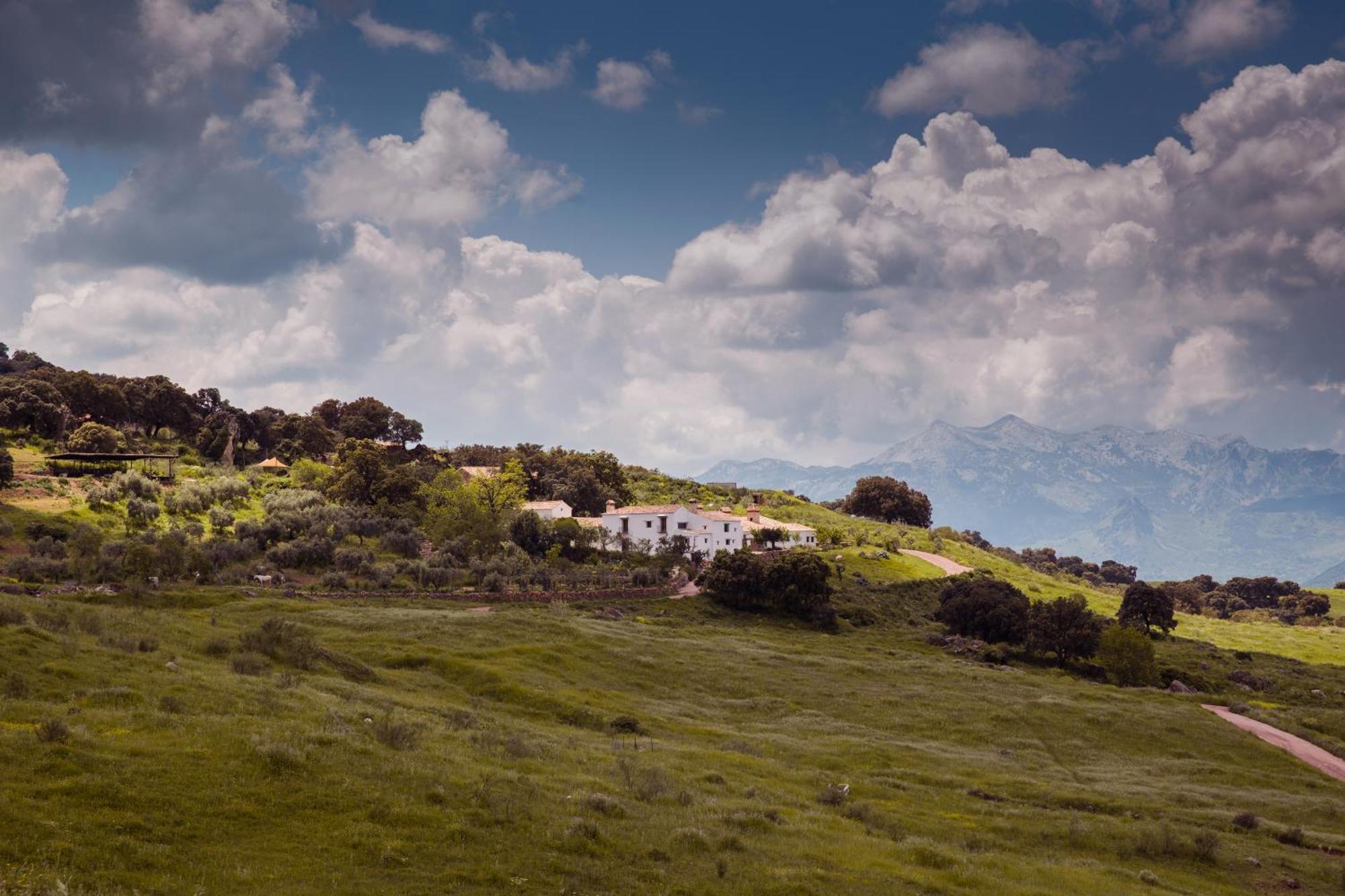 Penzion La Donaira Montecorto Exteriér fotografie