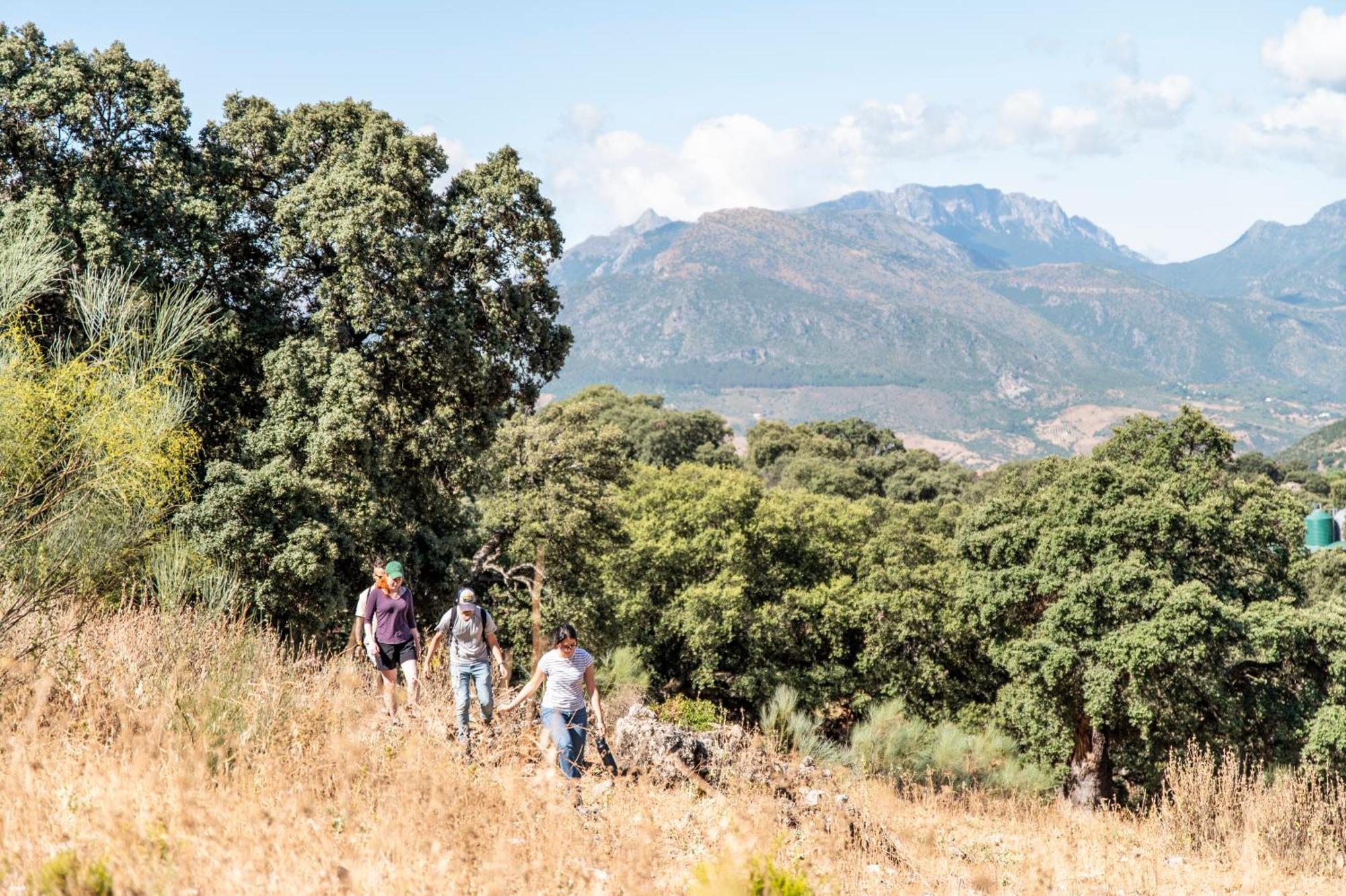 Penzion La Donaira Montecorto Exteriér fotografie