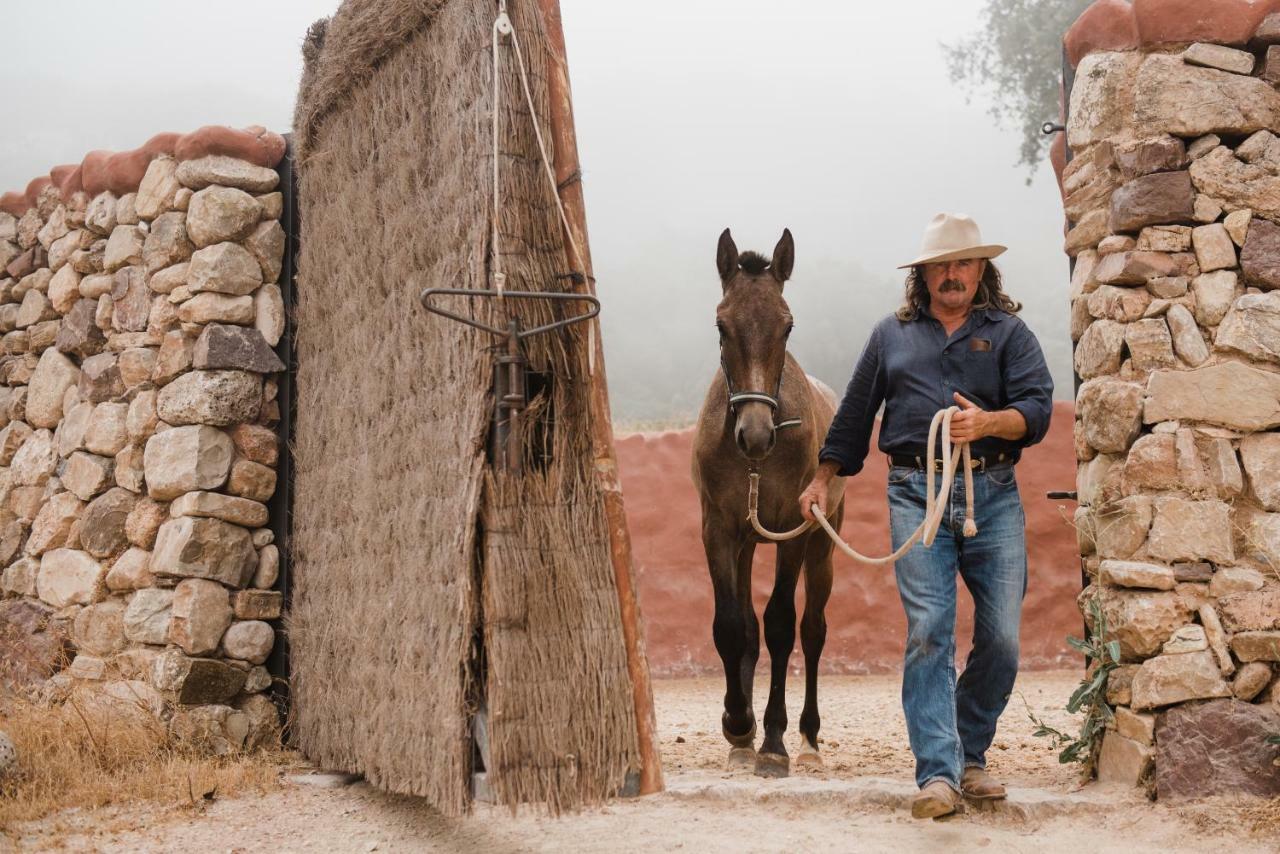 Penzion La Donaira Montecorto Exteriér fotografie