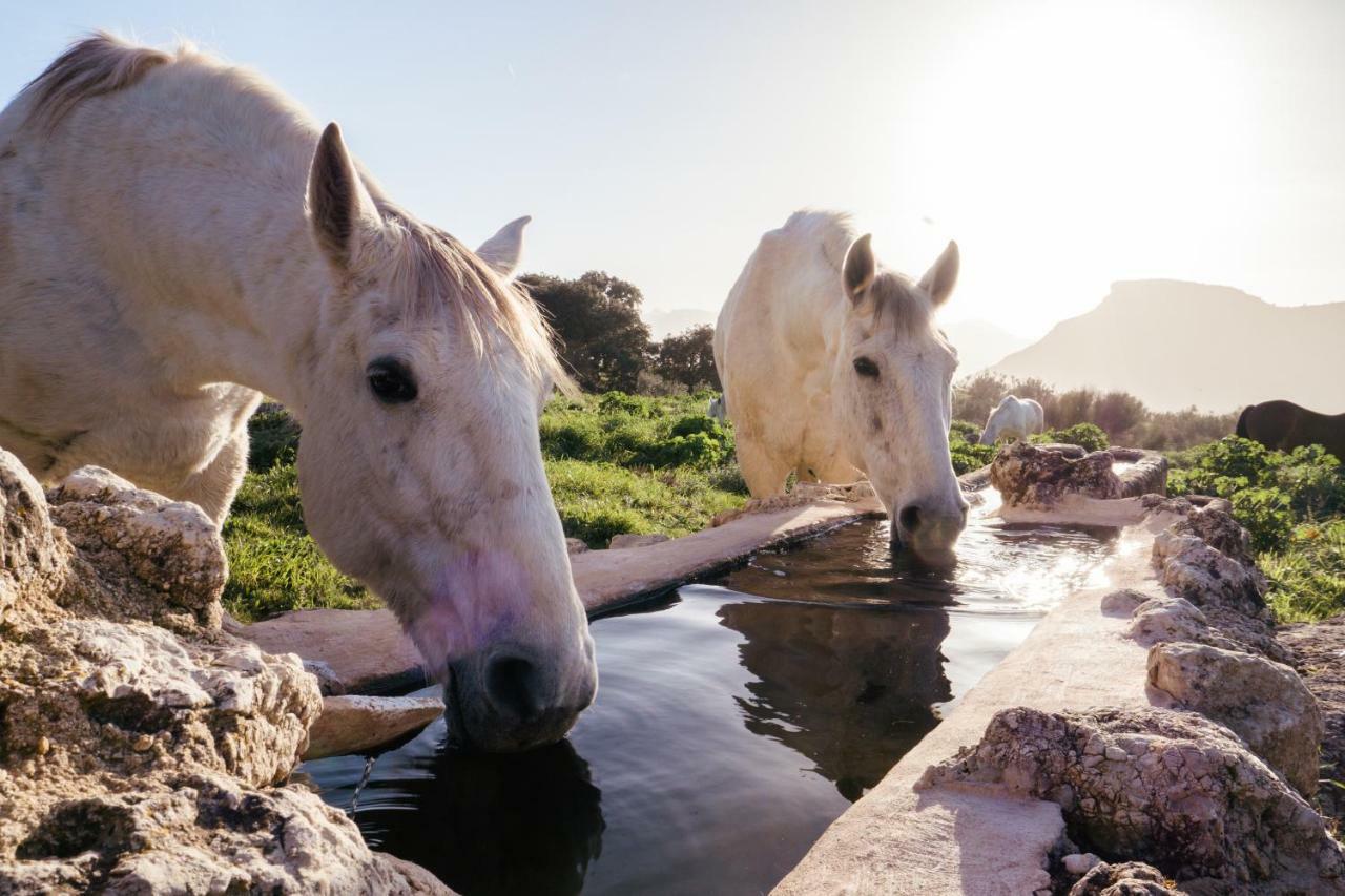 Penzion La Donaira Montecorto Exteriér fotografie